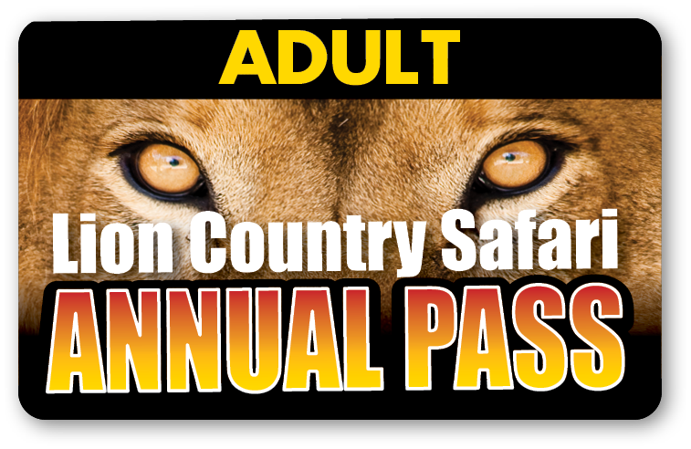 Lion Country Safari Annual Pass - Regular (Ages 10 and up)